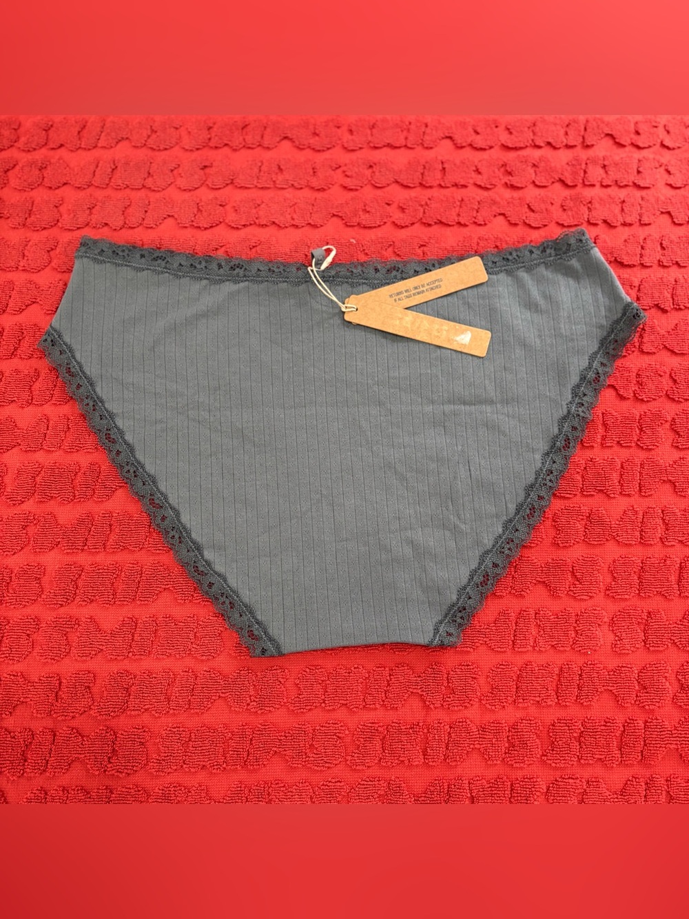 π©Άπ SKIMS Lightweight Cotton Pointelle Lace Trim Brief | Zircon Tonal | L - Picture 6 of 7